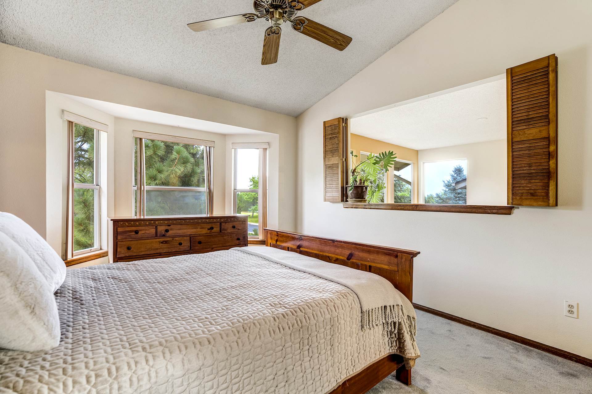 Image 24